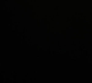 Meet your Posher, Charles